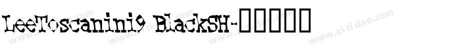 LeeToscanini9 BlackSH字体转换